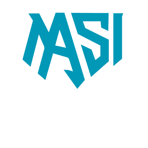 Masi Carbon Warrior Shaft